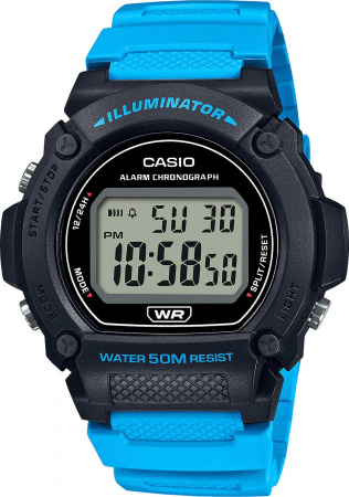 CASIO W-219H-2A2VEF