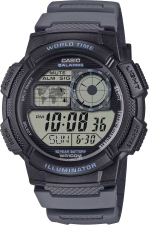 CASIO AE-1000W-8A