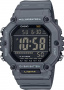 CASIO AE-1600H-8B